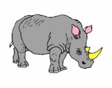 201735/rinoceronte-3-animais-a-selva-1398957_163.jpg