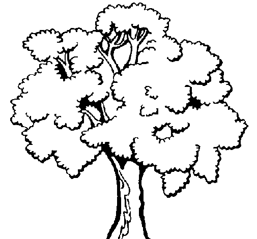Desenho de Árvore 1 para Colorir