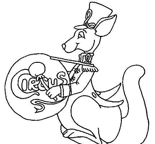 Desenho de Canguro tambor para Colorir