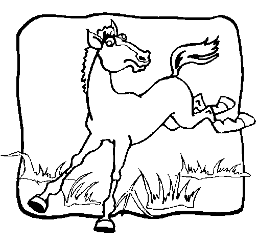 Desenho de Cavalo a dar um coice para Colorir