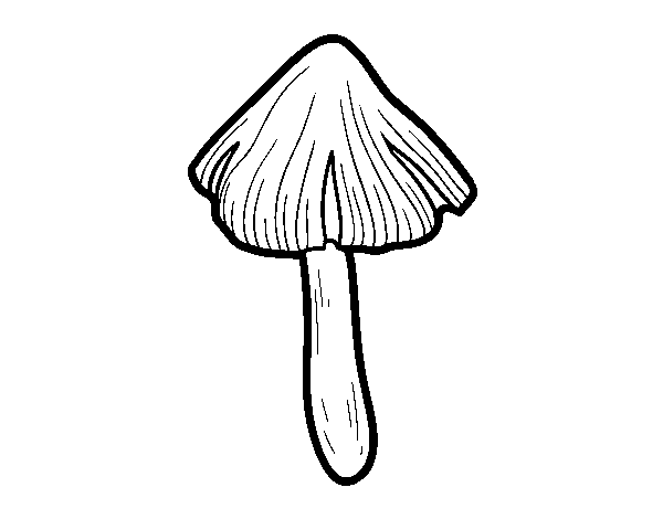 Desenho de Cogumelo tricholoma terreum para Colorir
