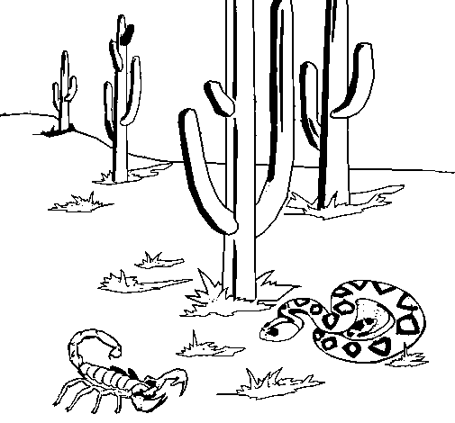 Desenho de Deserto  para Colorir