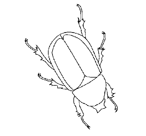 Desenho de Escaravelho para Colorir