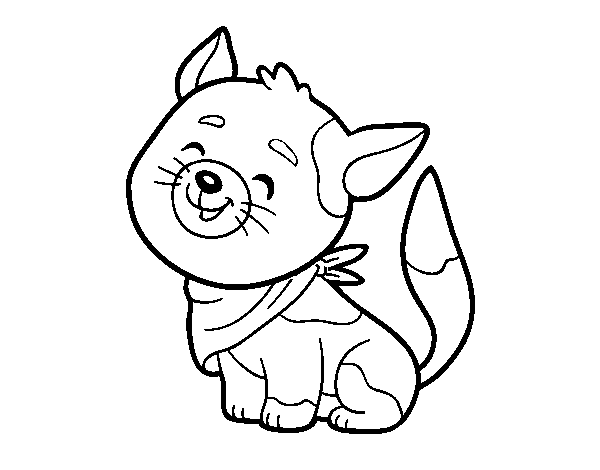 Desenho de Gato com bandana para Colorir