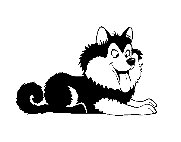 Desenho de Husky cachorro para Colorir