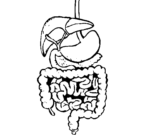 Desenho de Intestinos para Colorir