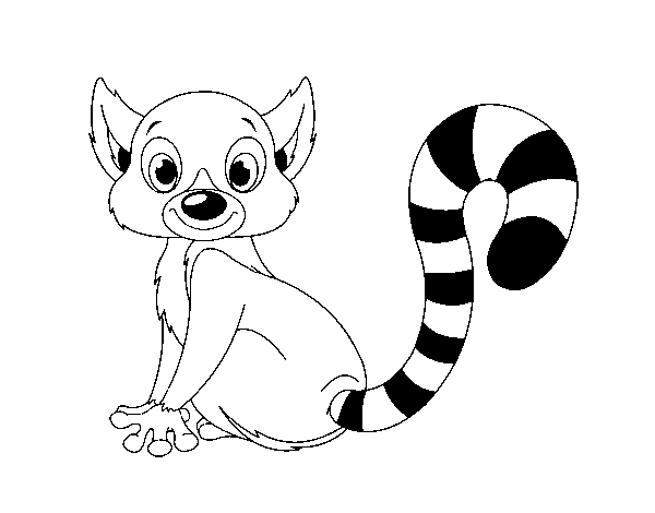 Desenho de Lémur para Colorir