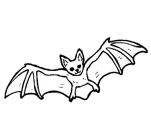 Desenho de Morcego a voar para Colorir