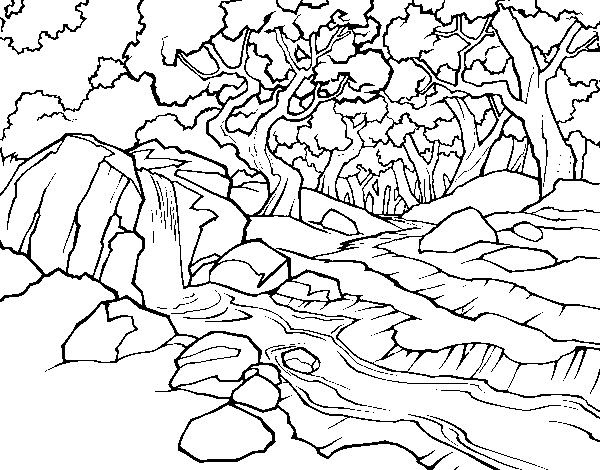 Desenho de Paisagem da floresta com um rio para Colorir