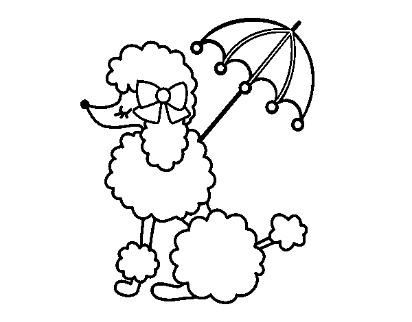 Desenho de Poodle com  sombrinha para Colorir
