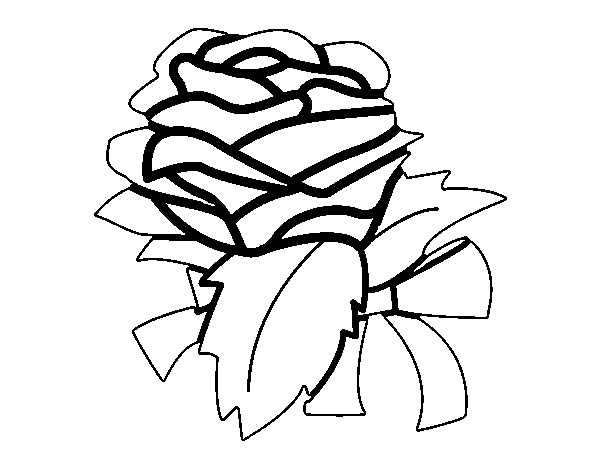 Desenho de Rosa, flor para Colorir