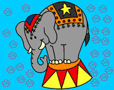 Desenho Elefante a actuar pintado por Apolo