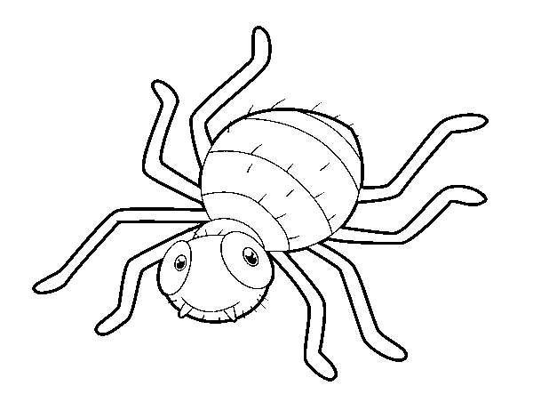Desenho de Aranha infantil para Colorir