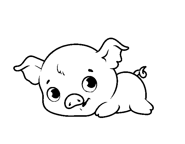 Desenho de Baby piggy para Colorir