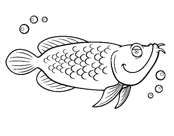 Desenho de Bacalhau-do-atlântico para Colorir