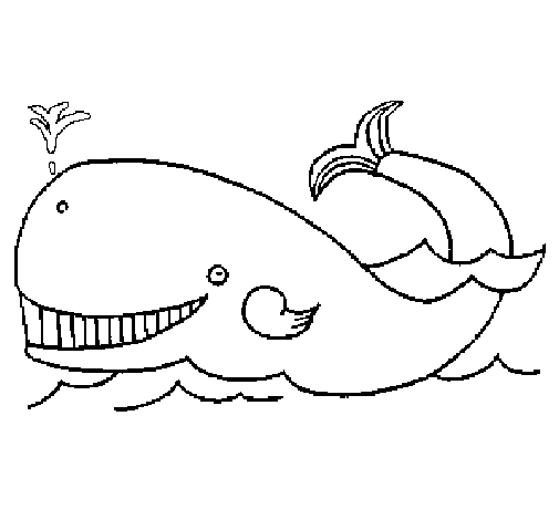 Desenho de Baleia para Colorir