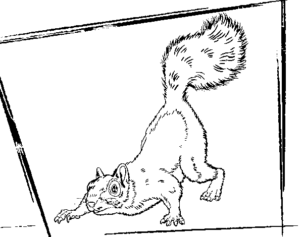 Desenho de Bob Esponja - A Esquilo para o ataque para Colorir