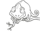 Desenho de Camaleão num ramo para colorear