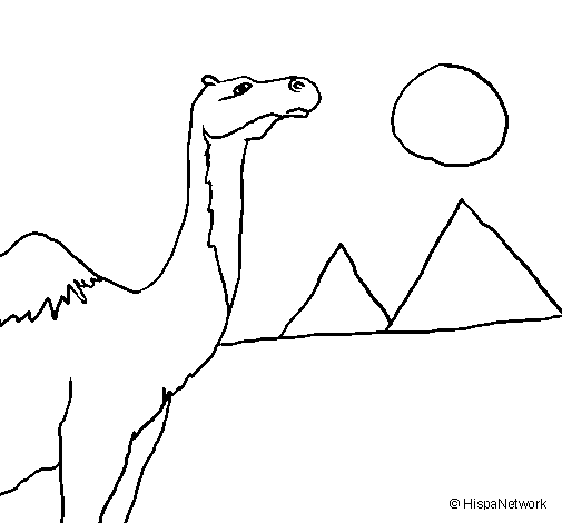 Desenho de Camelo para Colorir
