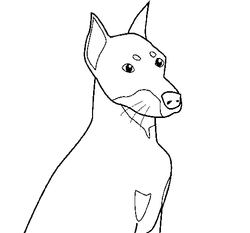 Desenho de Cão 2 para Colorir