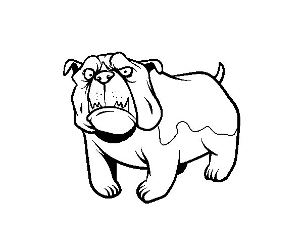 Desenho de Cão buldogue inglês para Colorir