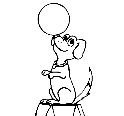 Desenho de Cão de circo para Colorir