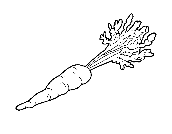 Desenho de Cenoura ecológica para Colorir