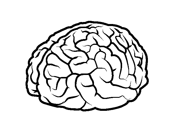 Desenho de Cérebro para Colorir