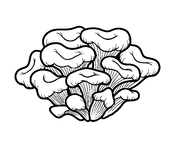 Desenho de Cogumelo maitake para Colorir