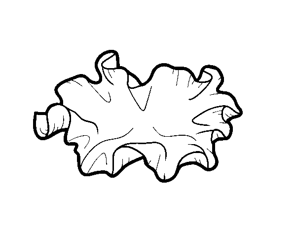 Desenho de Cogumelo orelha de madeira para Colorir