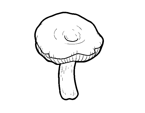 Desenho de Cogumelo russula para Colorir