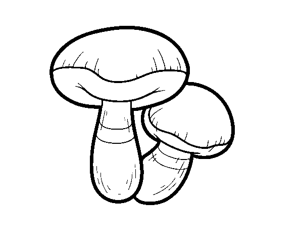 Desenho de Cogumelo suillus para Colorir