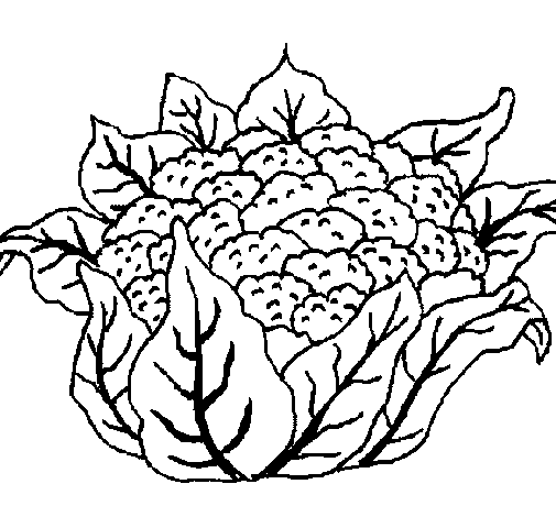 Desenho de Couve-flor para Colorir