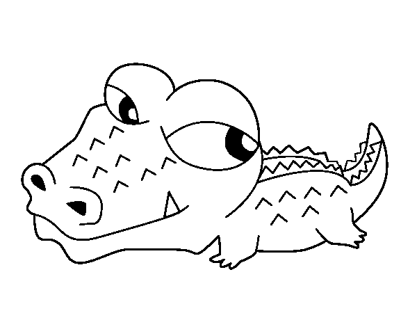 Desenho de Crocodilo pequeno para Colorir