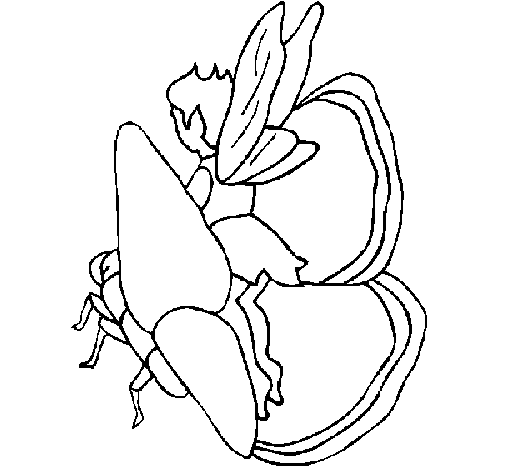 Desenho de Duende e borboleta para Colorir