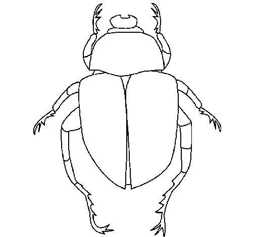 Desenho de Escaravelho para Colorir