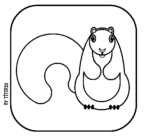 Desenho de Esquilo II para Colorir