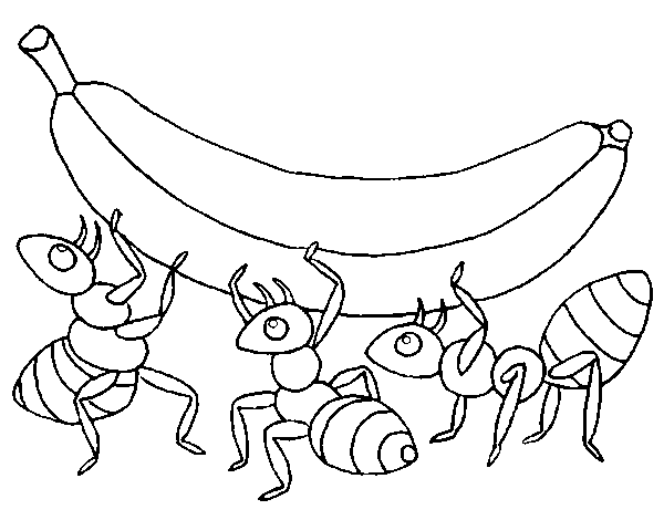 Desenho de Formigas com banana para Colorir