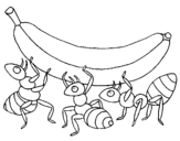 Desenho de Formigas com banana para colorear
