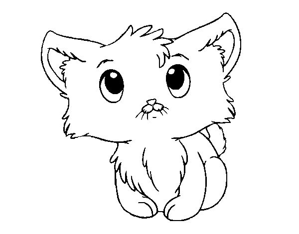 Desenho de Gatito bonito para Colorir