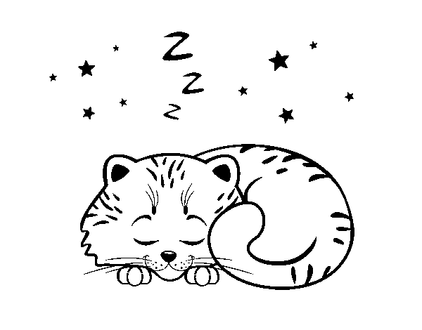Desenho de Gatito dormindo para Colorir