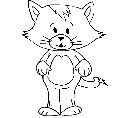 Desenho de Gato com franja para Colorir