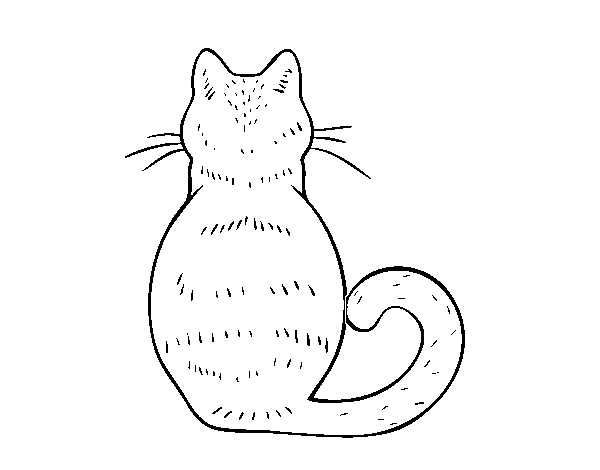 Desenho de Gato de volta para Colorir