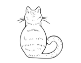 Desenho de Gato de volta para colorear