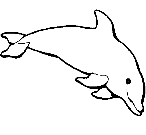 Desenho de Golfinho contente para Colorir