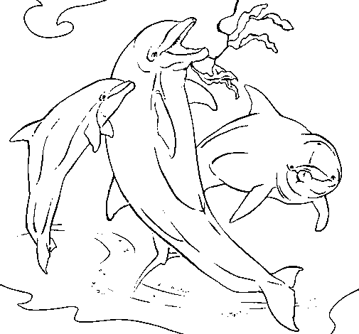 Desenho de Golfinhos a brincar para Colorir