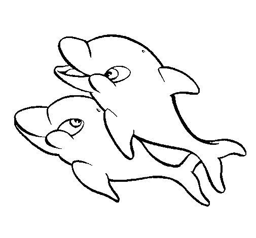 Desenho de Golfinhos brincando para Colorir