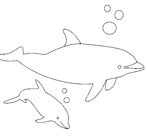 Desenho de Golfinhos para Colorir
