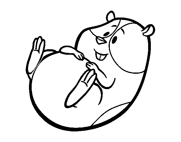Desenho de Hamster simpático para Colorir