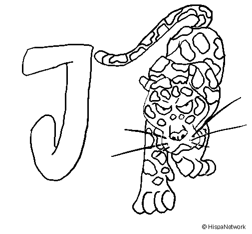 Desenho de Jaguar para Colorir